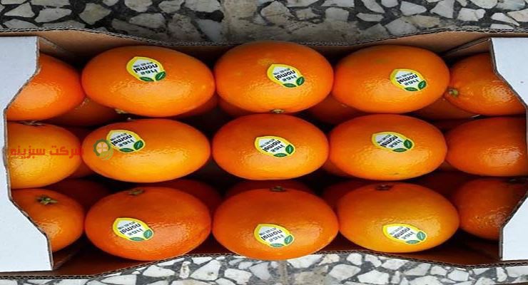 فروش بهترین نوع پرتقال تابستانه