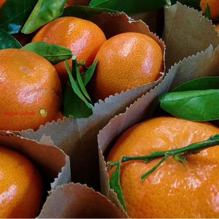 استعلام قیمت خرید روز نارنگی ژاپنی