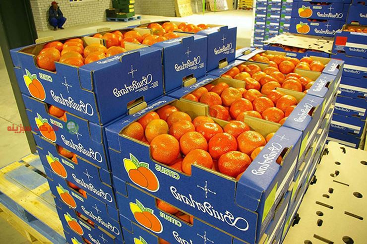 قیمت انواع مختلف نارنگی شمال بسته بندی شده