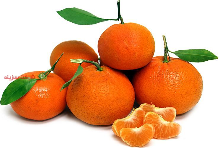 خرید مستقیم نارنگی وارداتی