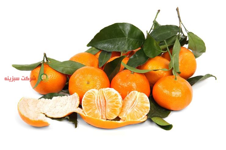 مصرف نارنگی برای سلامتی