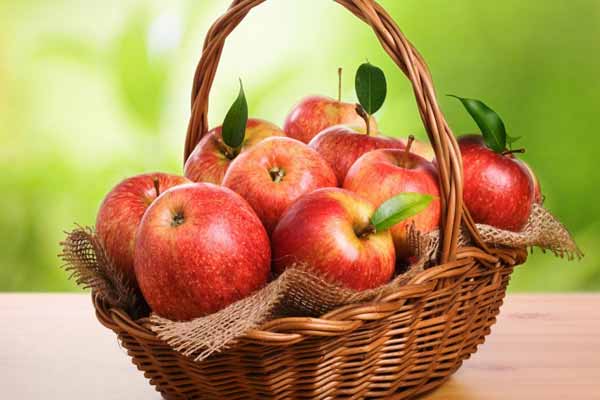 صادرات سیب درختی به هند