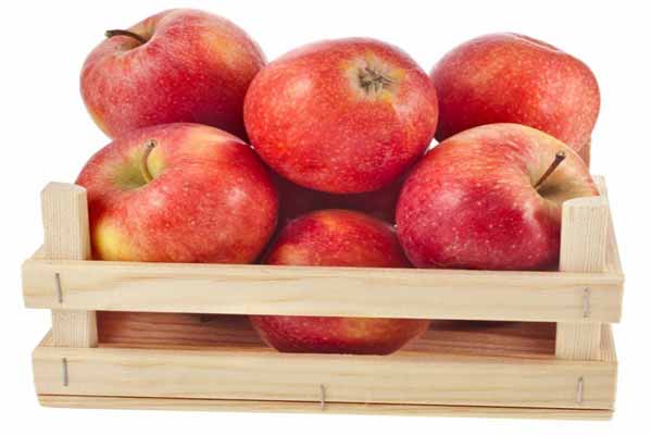 فروش سیب درختی دماوند