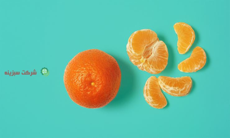 عرضه کننده انواع نارنگی در کشور
