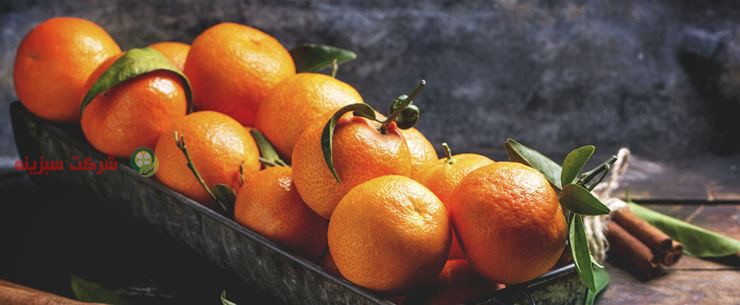 سایت فروش نارنگی به صورت آنلاین