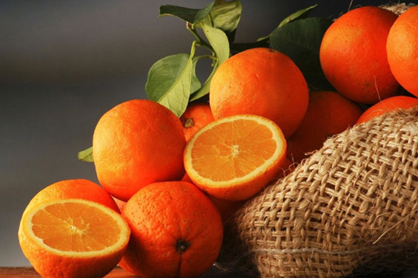 قیمت خرید پرتقال از کشاورز