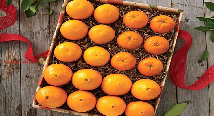خرید مستقیم نارنگی سبدی از ساری
