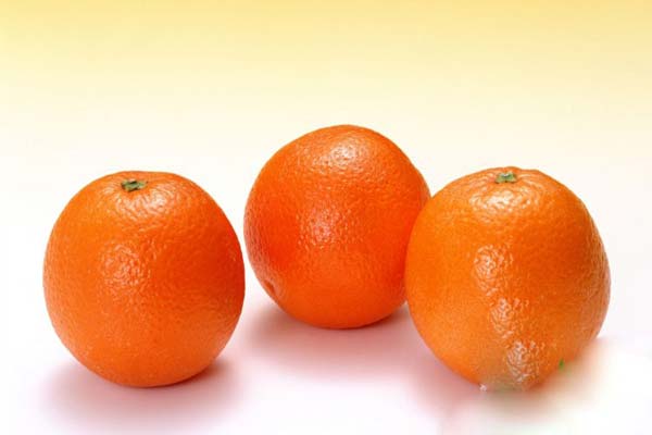 قیمت عمده پرتقال در شمال