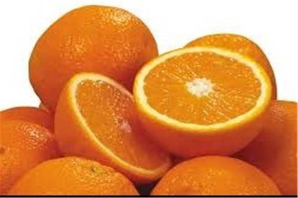 قیمت روز پرتقال شمال
