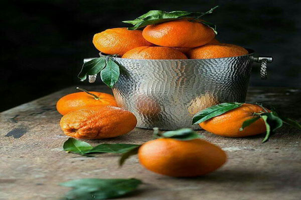 انواع پرتقال
