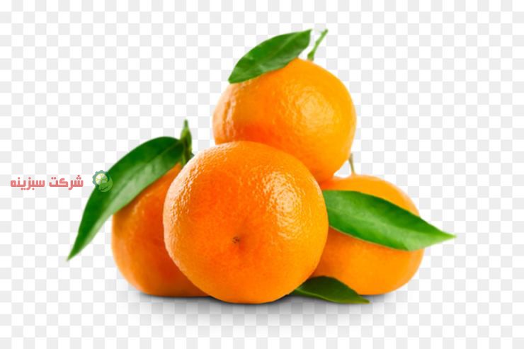 انواع نارنگی در ساری