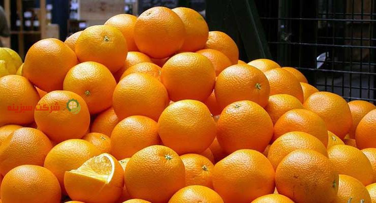 مرکز فروش پرتقال صادراتی در کشور
