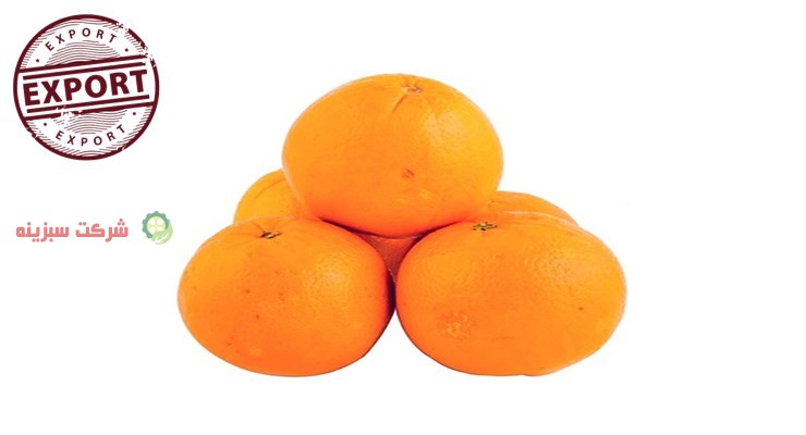 صادرات پرتقال سبزینه