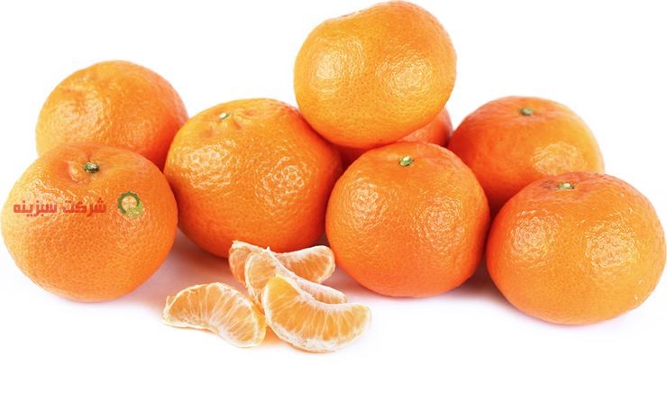 برداشت نارنگی باکیفیت صادراتی
