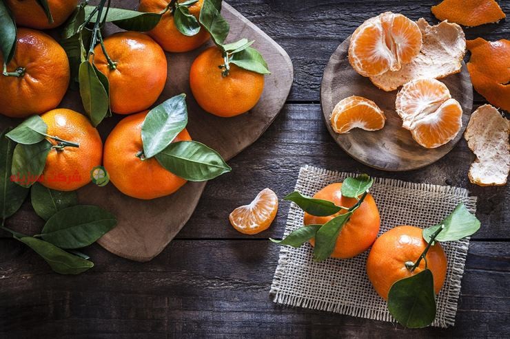 خریداران عمده نارنگی ایرانی در روسیه