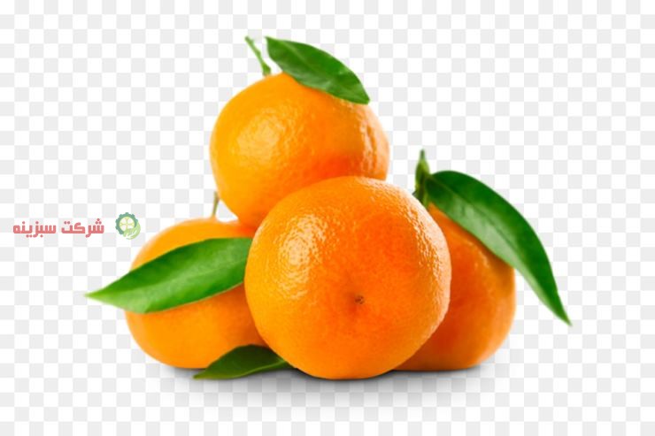 بازار عرضه نارنگی