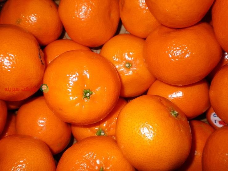 برداشت نارنگی ژاپنی سبز