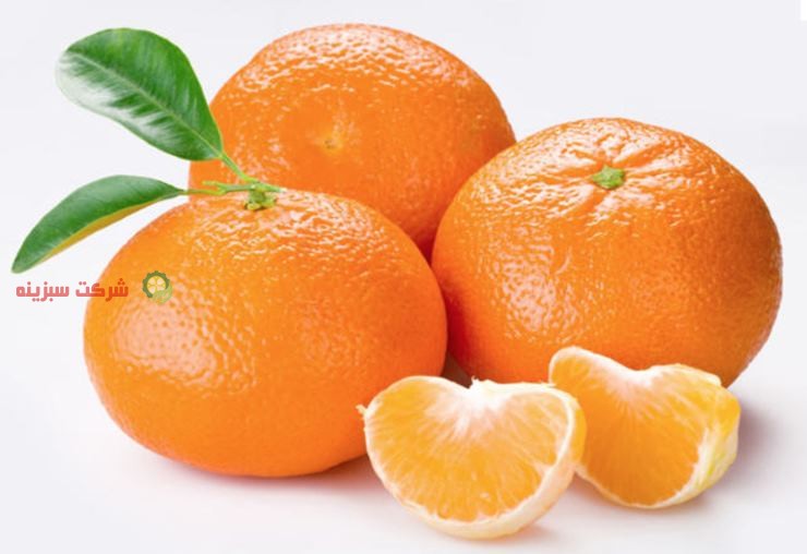 فروش نارنگی پاکستانی