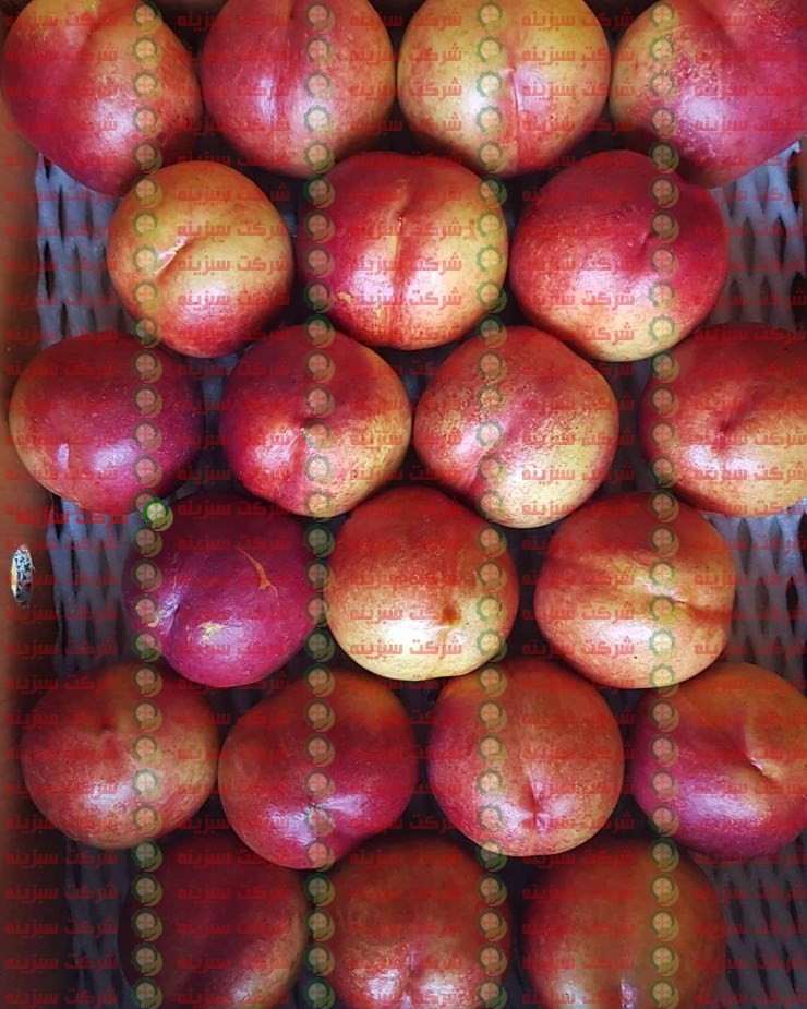 انواع شلیل در بازار میوه مشهد