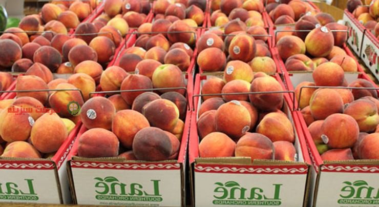 بازار میوه و تره بار مرکزی در تهران