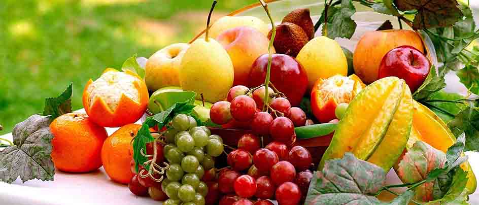 صادرات انواع میوه