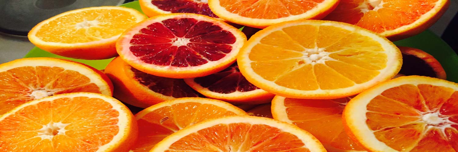 صادرات پرتقال و مرکبات به روسیه