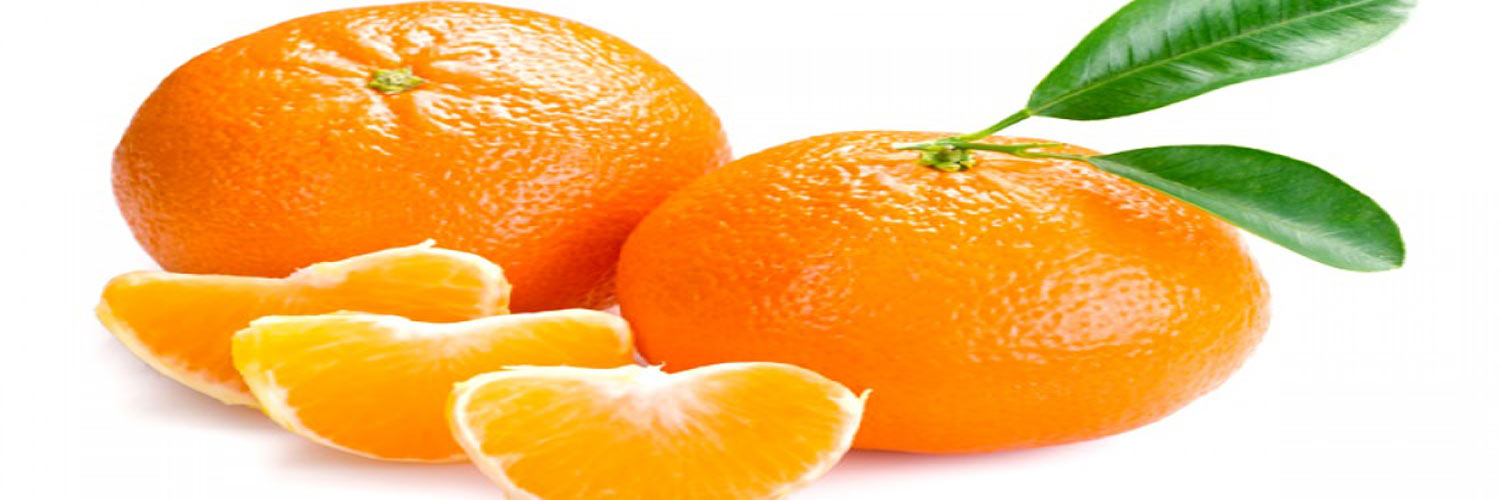 فروش عمده پرتقال
