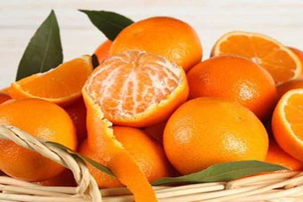 فروش نارنگی صادراتی
