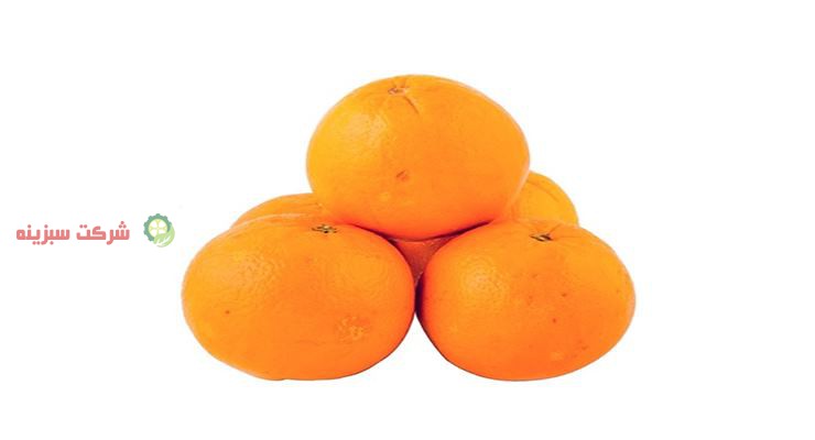 پرتقال خونی درجه یک شمال