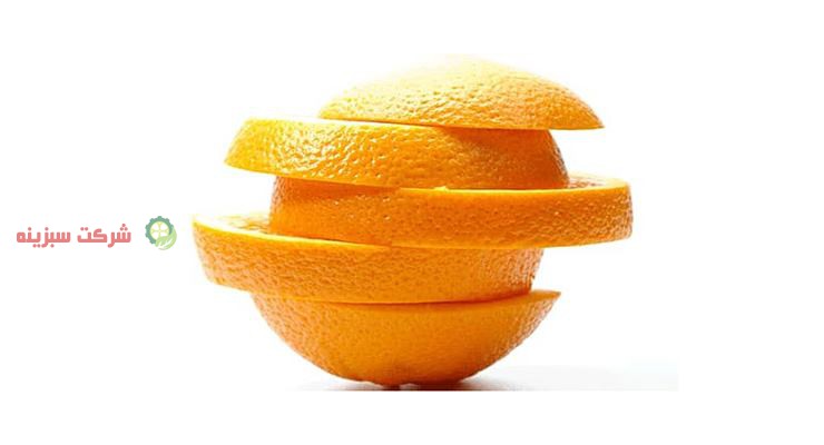 بهترین کیفیت پرتقال تامسون جهت صادرات
