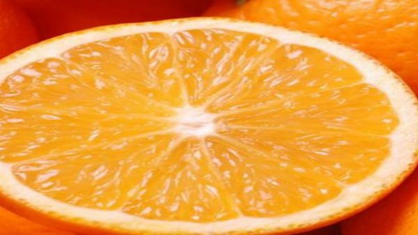قیمت خرید پرتقال