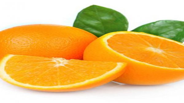 قیمت روز پرتقال