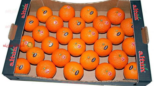 قیمت نارنگی در بازار