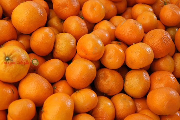 صادرات نارنگی درجه یک ایرانی