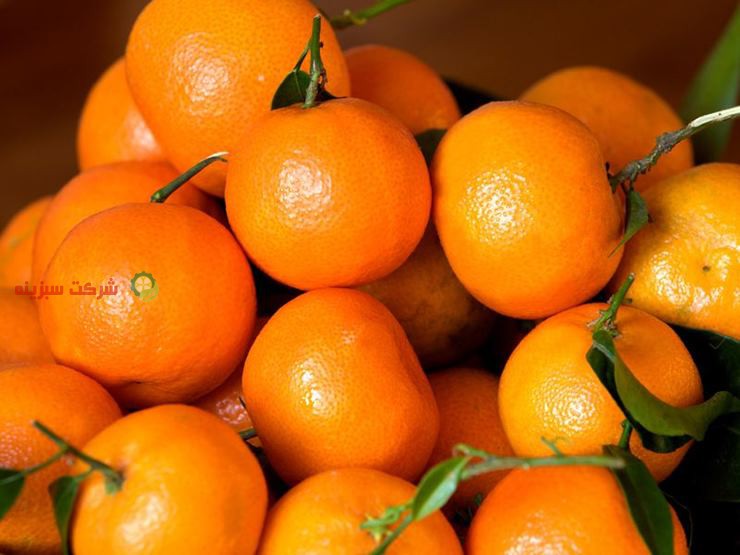 خصوصیات نارنگی شمال با کیفیت صادراتی
