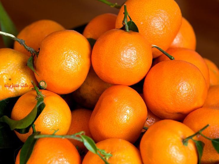توزیع مستقیم نارنگی در ایران