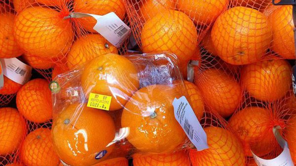 قیمت پرتقال تهران در میدان بار