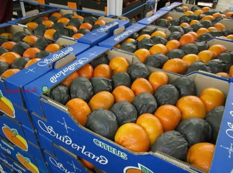 عرضه نارنگی به صورت مستقیم در کشور