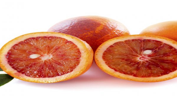 خرید ارقام پرتقال توسرخ ایرانی