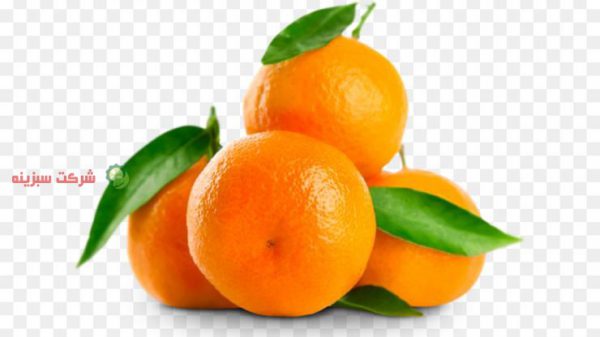 خرید نارنگی انشو مازندران