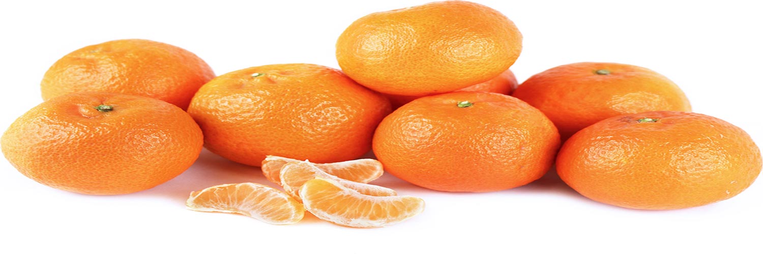 صادرات نارنگی