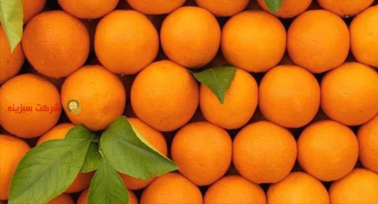 فروش پرتقال به صورت عمده در شرکت سبزینه