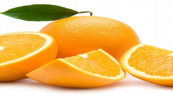 قیمت خرید پرتقال از باغداران