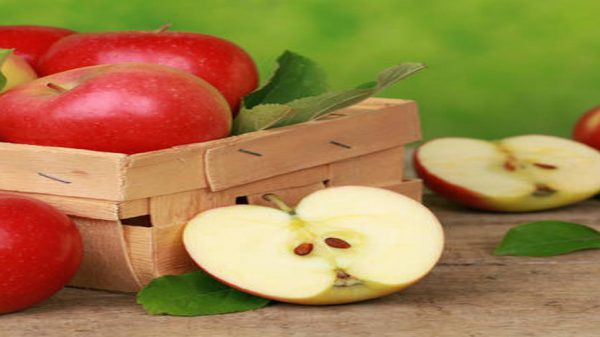 میزان صادرات سیب درختی