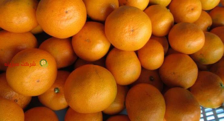 عرضه نارنگی از باغدار به بازار