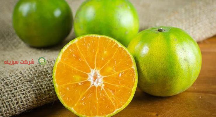 خرید نارنگی مستقیم از باغدار
