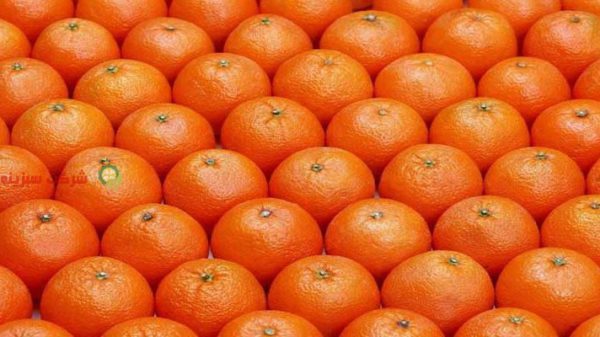 خرید پرتقال در تابستان
