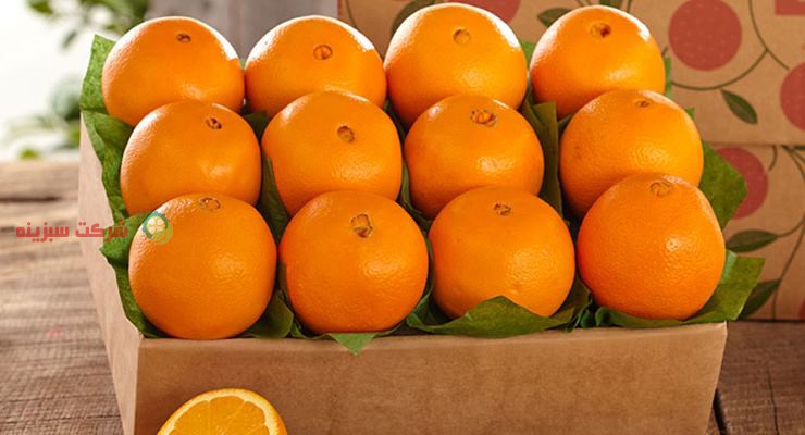 خرید پرتقال ارزان از باغدار
