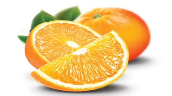 فروش پرتقال عمده شمال