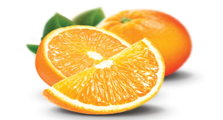 فروش پرتقال عمده شمال